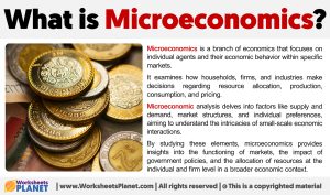 What-is-Microeconomics
